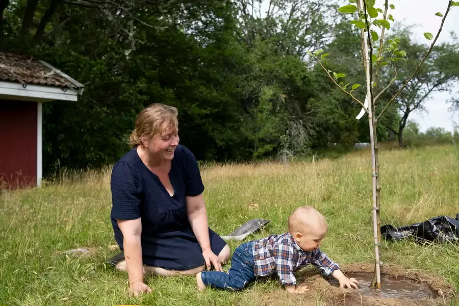 Kvinna med barn planterar äppelträd. Kvinnan är Johanna som driver Fagralund Trädgård.